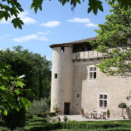 Chateau De Mayragues Castelnau-de-Montmiral Ngoại thất bức ảnh
