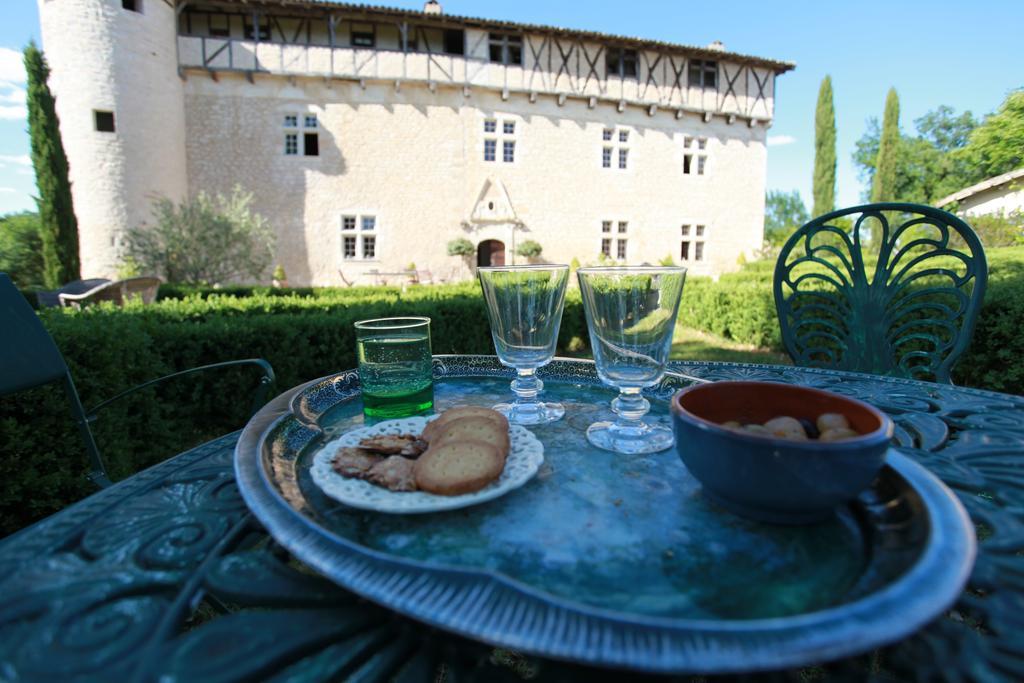 Chateau De Mayragues Castelnau-de-Montmiral Ngoại thất bức ảnh