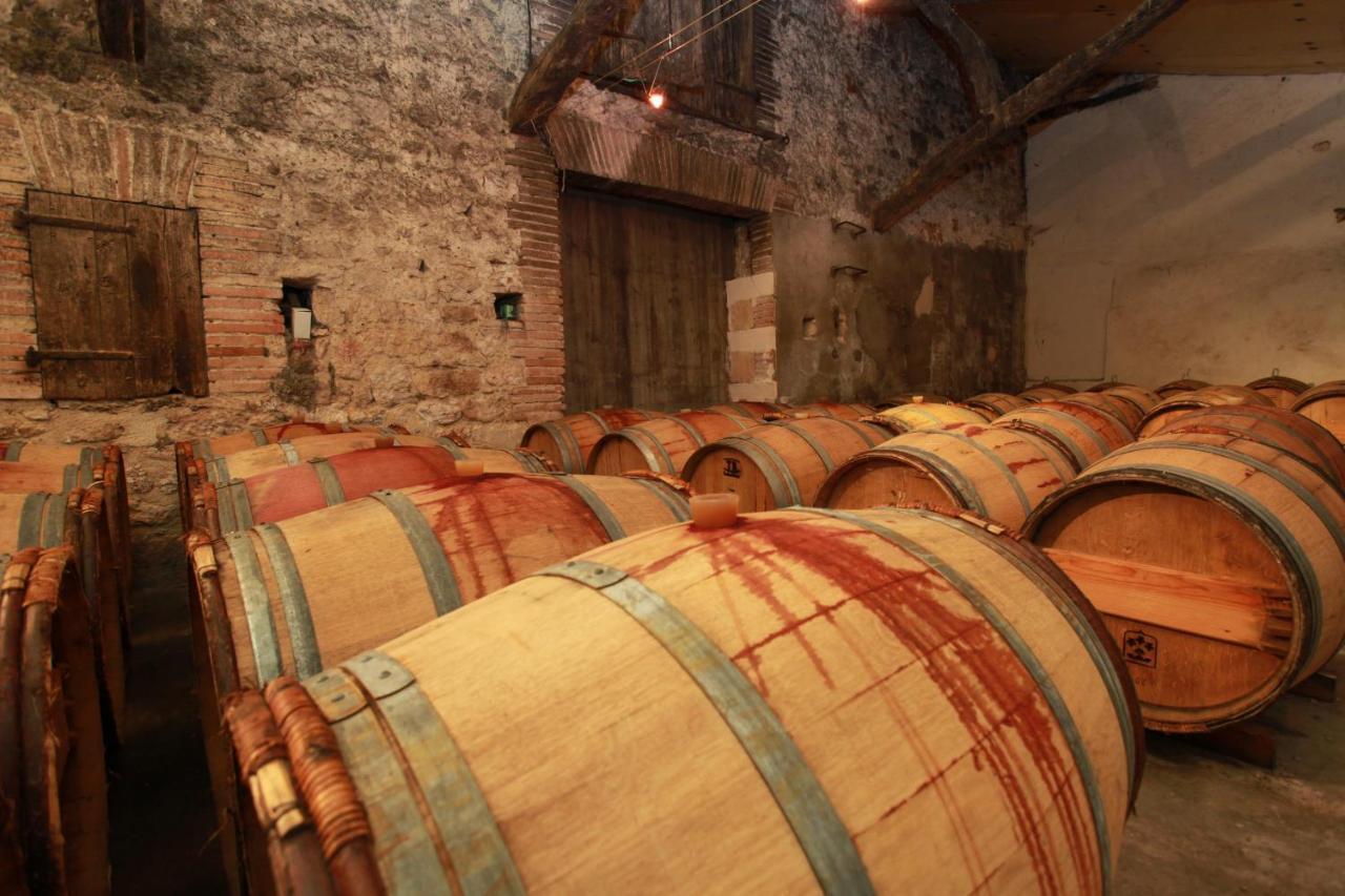 Chateau De Mayragues Castelnau-de-Montmiral Ngoại thất bức ảnh